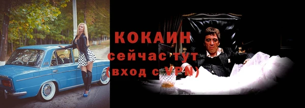 сатива Березники